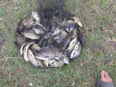 Прикрепленное изображение: IMG_0849.JPG